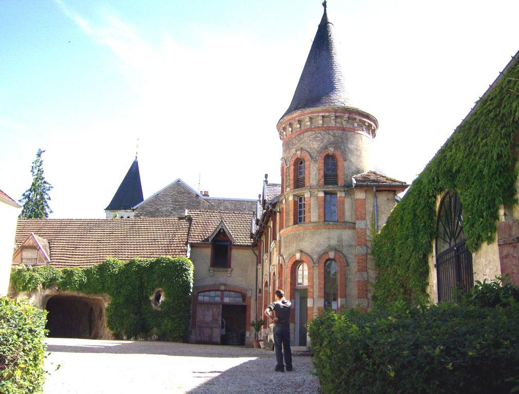 Le Chateau De Prauthoy מראה חיצוני תמונה